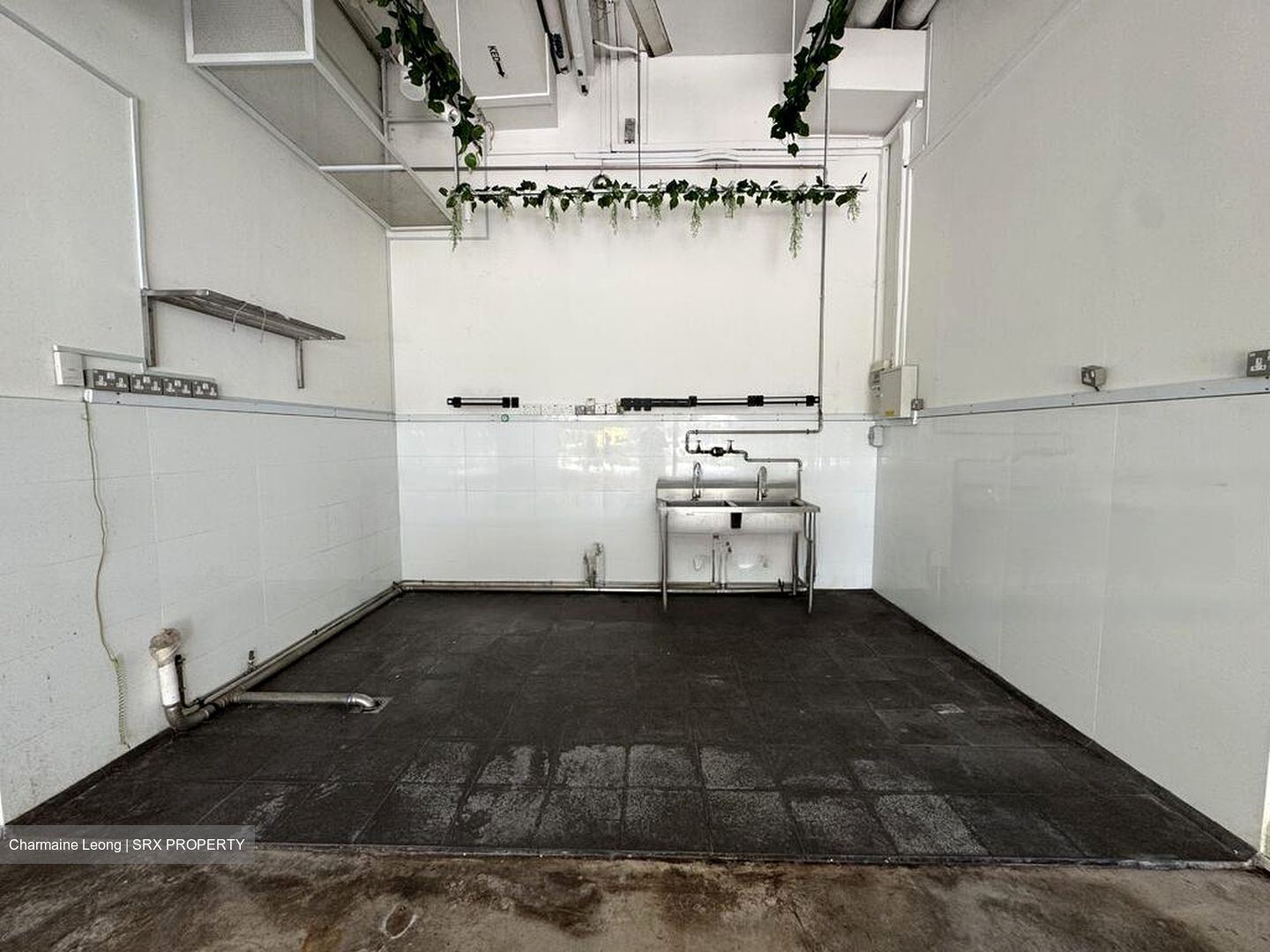 Nucleos (D5), Retail #473999451